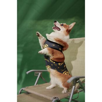 Áo Black Tee Pawsee