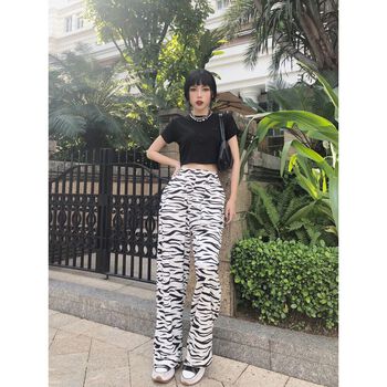 Zebra Pants (Quần họa tiết Zebra) // 19 DEGREES