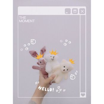 Gấu test mùi hương nước hoa Celluver Hàn Quốc