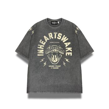Áo Thun Wash in hình over size_INHEARTSWAKE-1054