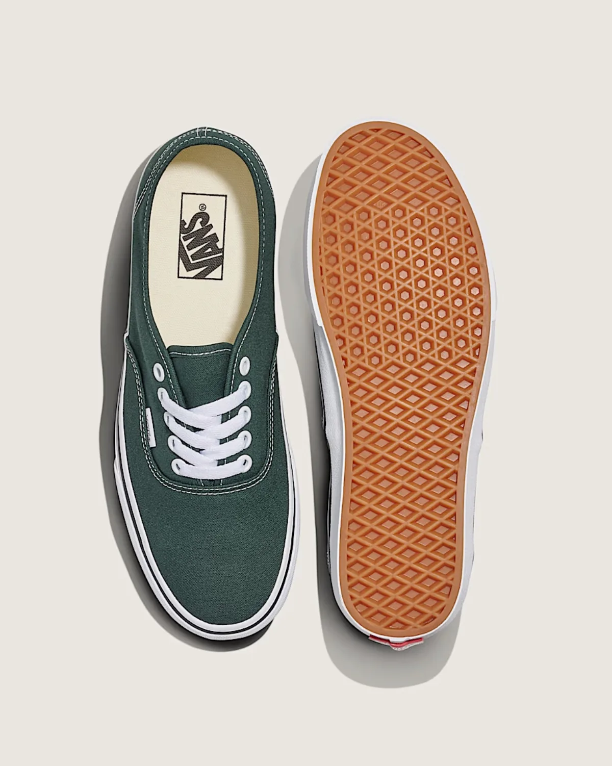 Giày VANS AUTHENTIC COLOR THEORY SCARAB