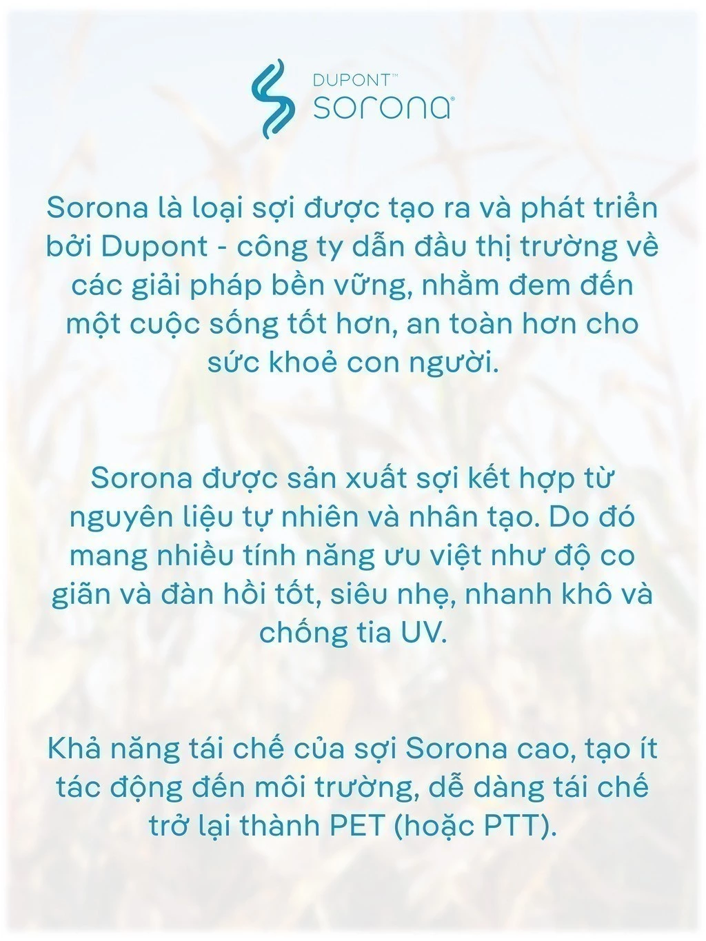 Áo thun có cổ, Polo nam Excool nhẹ, thoải mái nhanh khô, thoáng khí, chống nhăn tốt Coolmate