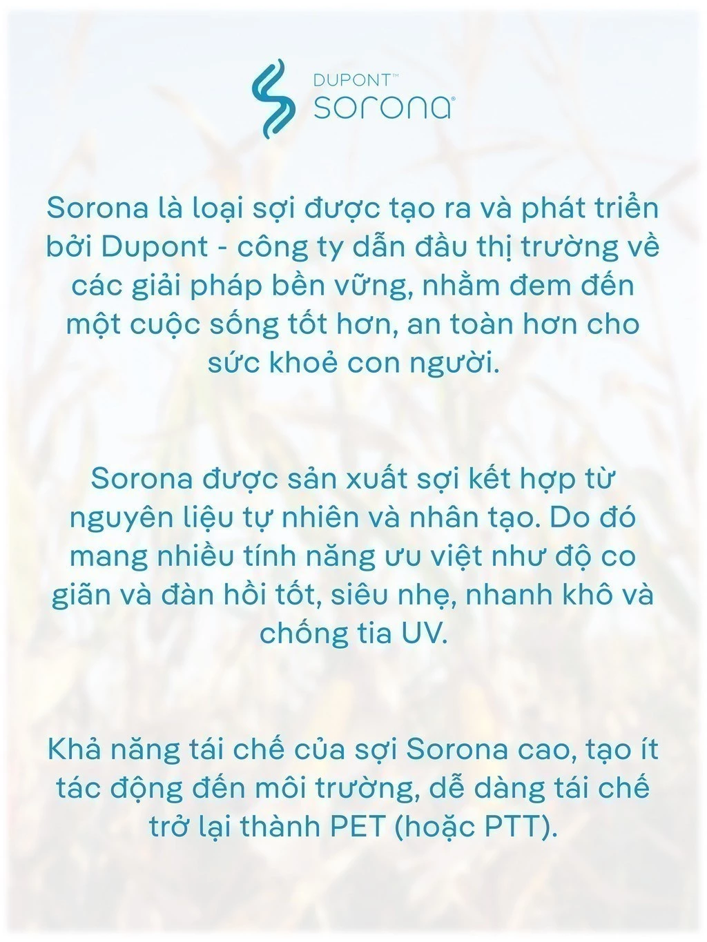 Quần dài nam Daily Pants sợi Sorona, nhuộm Cleandye siêu nhẹ chống nhăn chống tia UV - Coolmate
