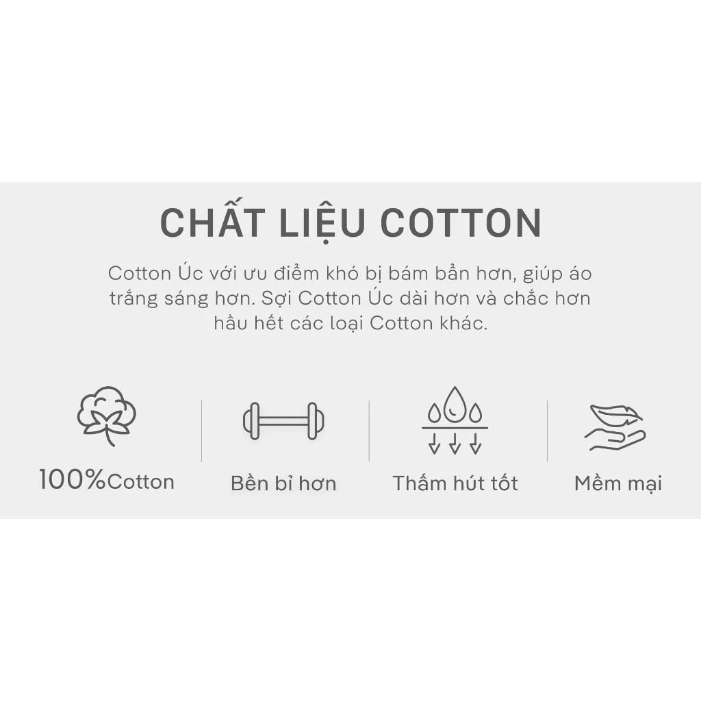 Combo Pack 3 áo thun cotton 220gsm Coolmate