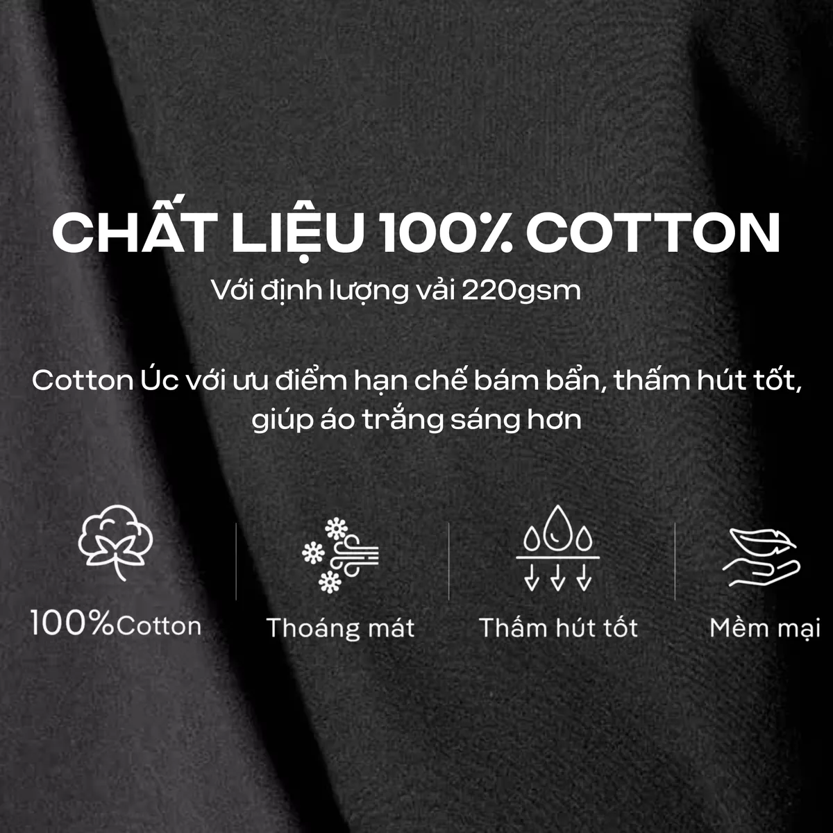 Áo thun nam TShirt Basic Cotton 100% 220gsm dày dặn mềm mại Coolmate