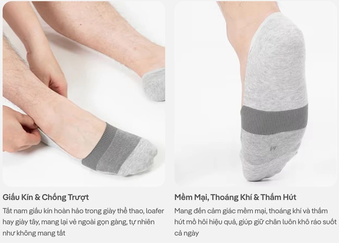 Pack Tất lười nam No show men socks - Coolmate