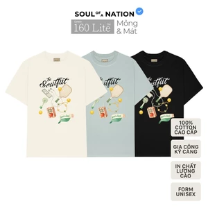 Áo Thun VẢI MỎNG MÁT NHẸ - IN BE  SOULFUL SPORT & SOUL unisex form basic 100% cotton premium siêu thấm hút, thoáng mát