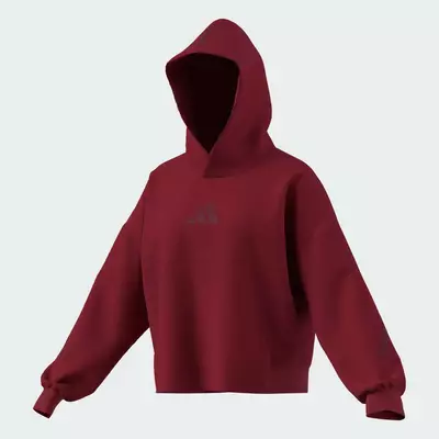adidas Lifestyle adidas Z.N.E. Hooded Sweatshirt Women Burgundy KC7746