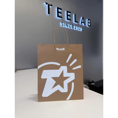 Túi giấy Teelab Alter Essentials Collection VT008