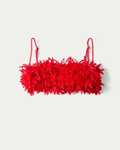Ixora Hand-embroidered Micro Top