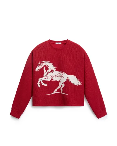 Áo Sweater DirtyCoins Horse Power Knit