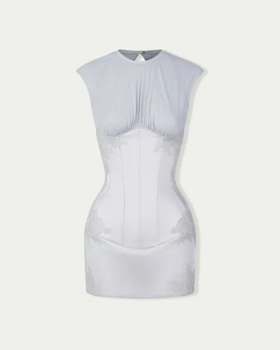Thin Air Sheer Lace Embroidered Mini Dress