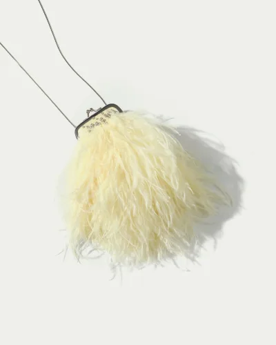 Stardust Feather Mini Clutch