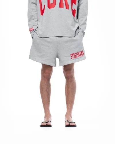 SSMA CORE V2 JERSEY SHORTS - GRAY