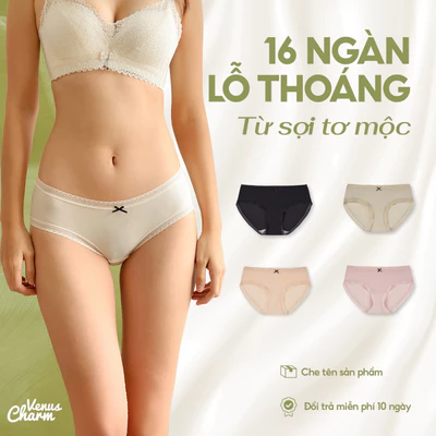 Quần lót nữ cao cấp Venus Charm thun lạnh ngàn lỗ thoáng nhẹ mát nhanh khô kháng khuẩn 8917