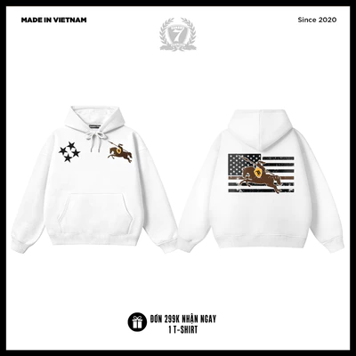 Áo Hoodie Boxy Nỉ Bông Unisex Banawa - Rising Knight Hoodie | Local Brand Chính Hãng