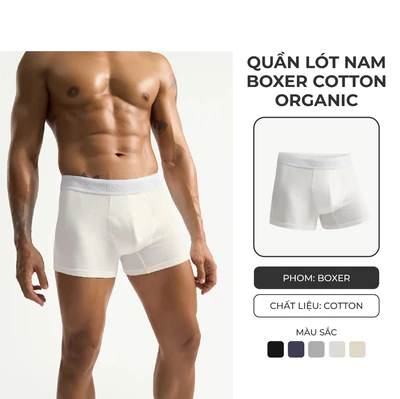 [MUA 3 GIẢM 10%] Quần Lót Nam Organic Cotton Trơn Phối Lưng Form Boxer - Routine 10S25UND001
