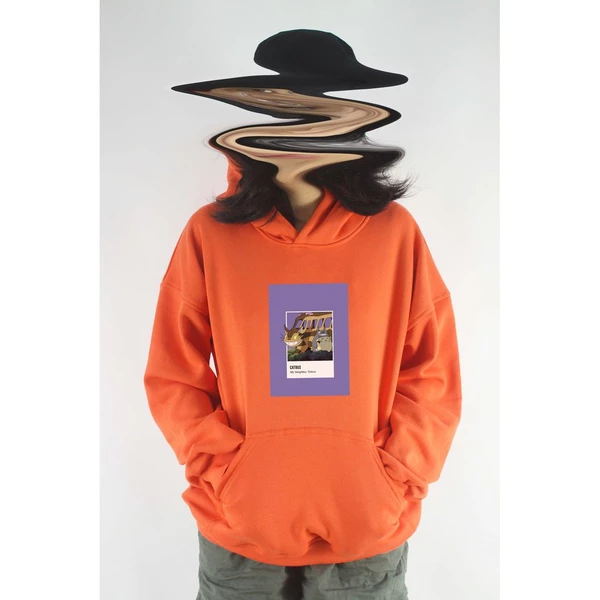 Áo hoodie unisex chodole chất liệu hoodie nỉ, đẹp form rộng cho cả nam và nữ in hình độc đáo Pantone - Catbus Totoro