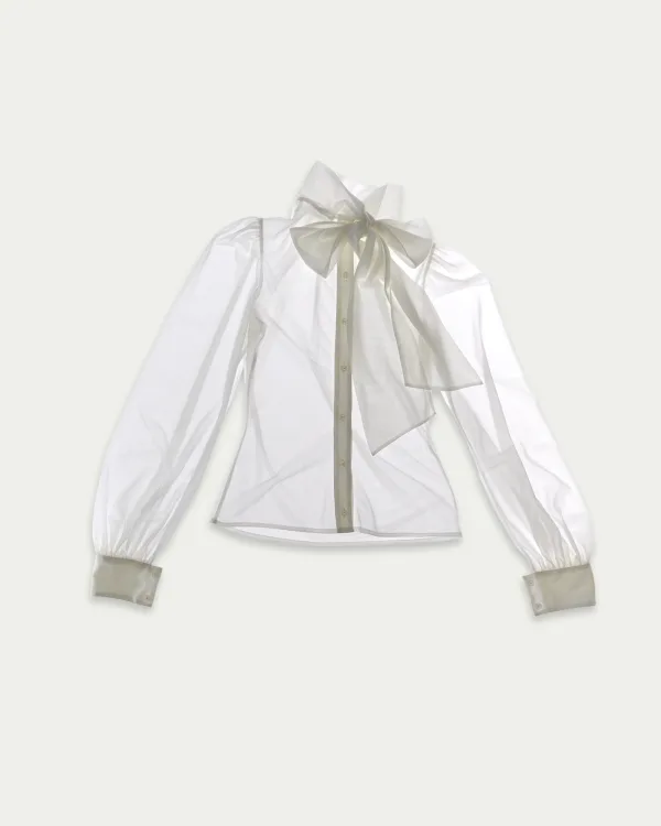 Shed Sheer Blouse