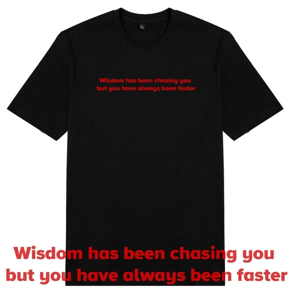 Áo thun unisex cotton 100% in chữ cà khịa - Wisdom has been chasing you
