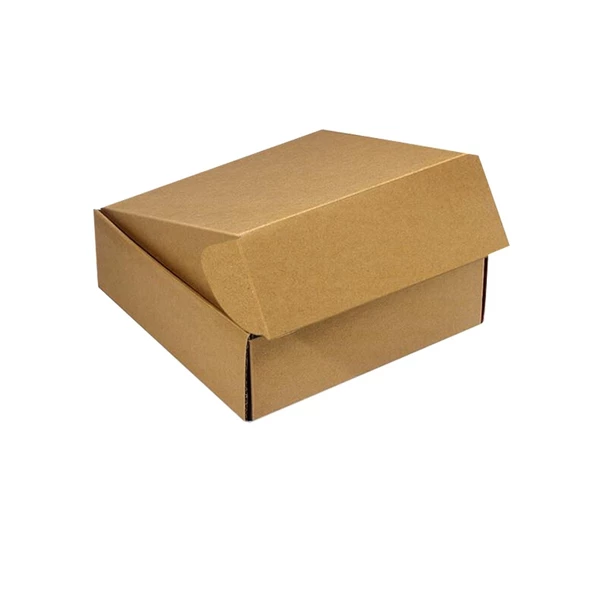 Hộp carton Mbox đóng sản phẩm