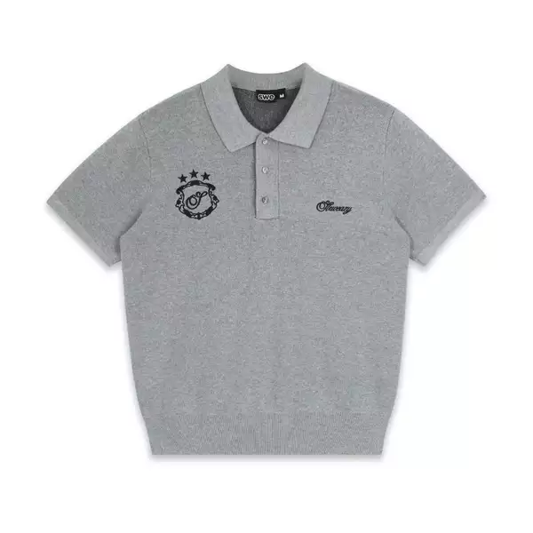 ÁO SWE KNIT POLO - GRAY