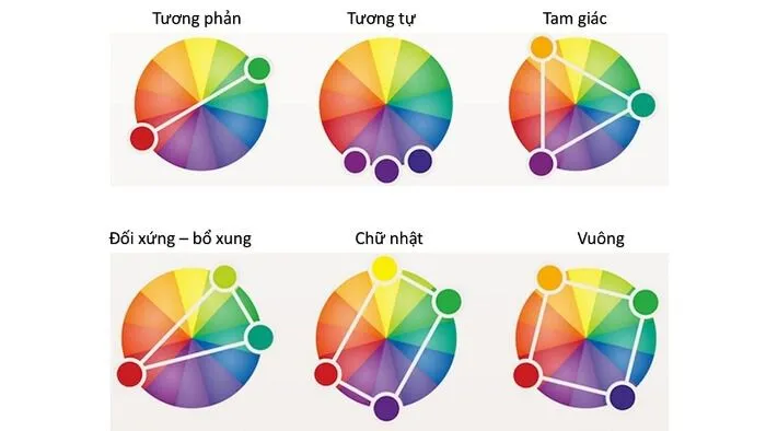 10 Công Thức Phối Màu Quần Áo Cơ Bản Cho Nam Và Nữ