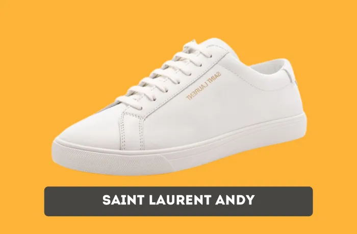 Saint Laurent Andy