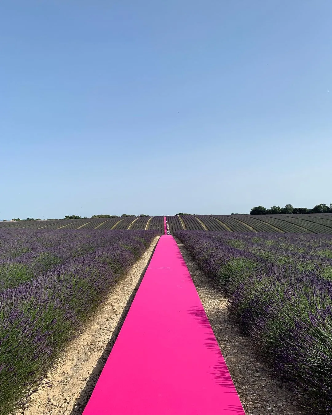 [GÓC NHÌN] Jacquemus mùa Thu 2021: Jacquemus có còn giữ được DNA thương hiệu của mình?