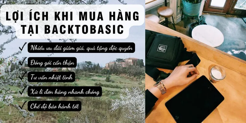 Back to Basic